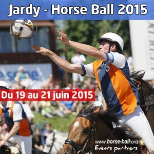 Horse Ball