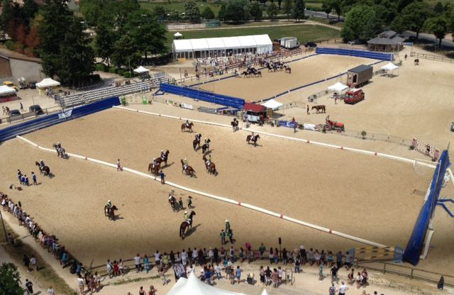 Horse Ball