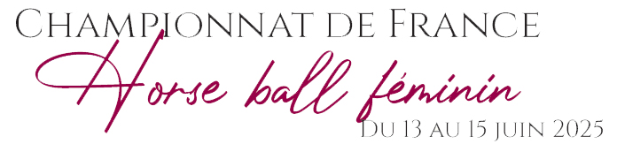 Horse Ball