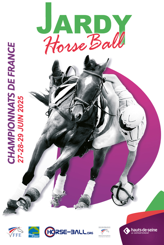Horse Ball