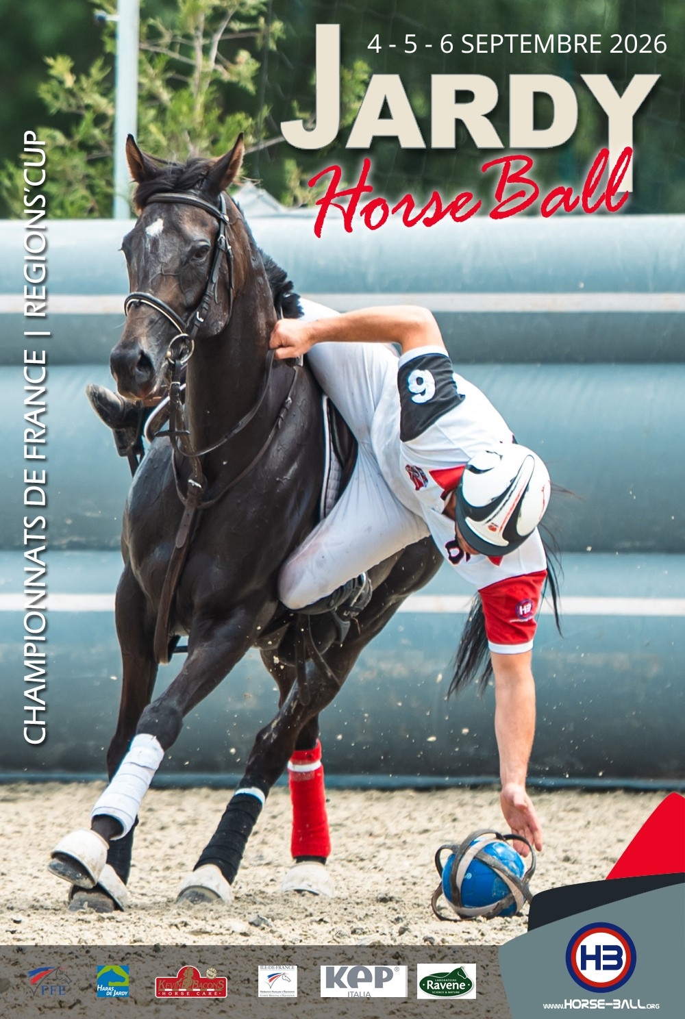 Horse Ball