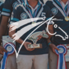 Actualités Horse Ball