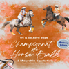 Actualit&eacute;s Horse Ball