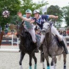 Actualit&eacute;s Horse Ball