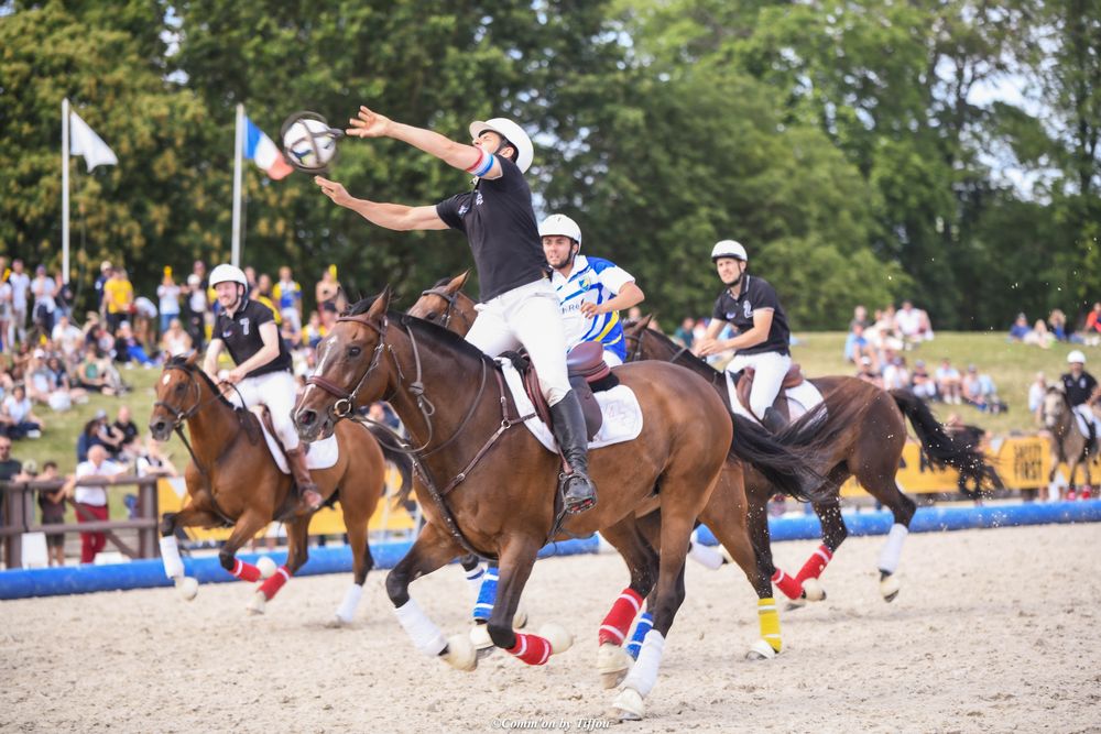 Cheval, équitation et sports équestres : France Horse Ball photos