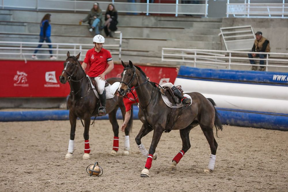 Horse Ball