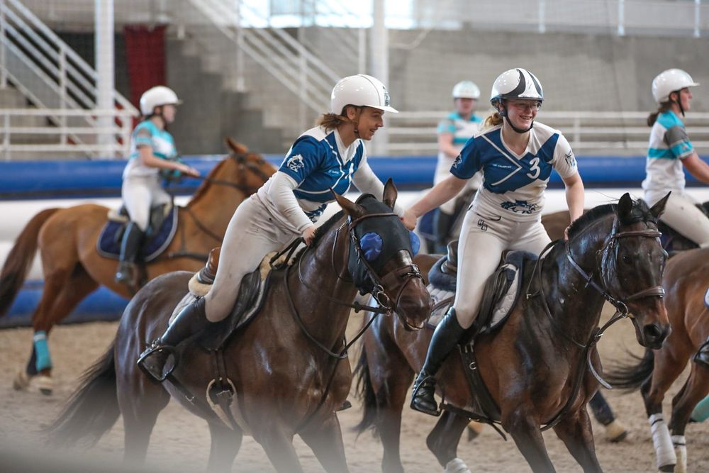 Horse Ball