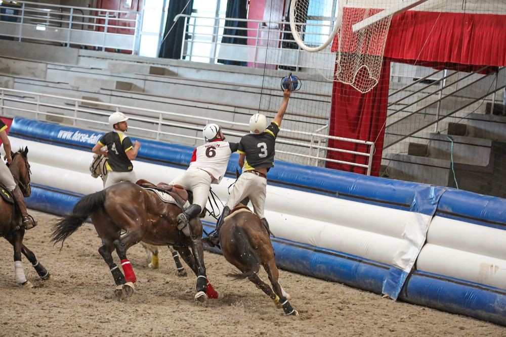 Horse Ball