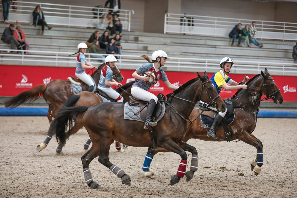 Horse Ball
