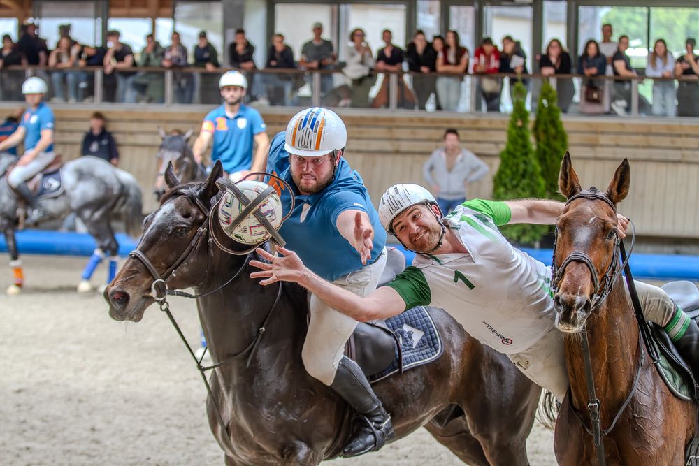 Horse Ball