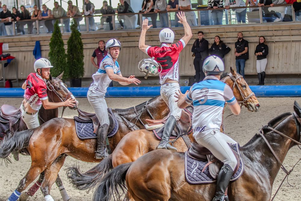 Horse Ball