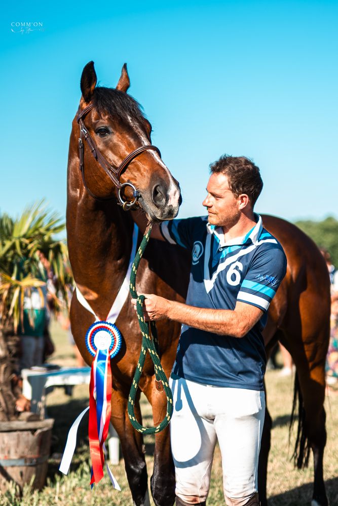 Horse Ball