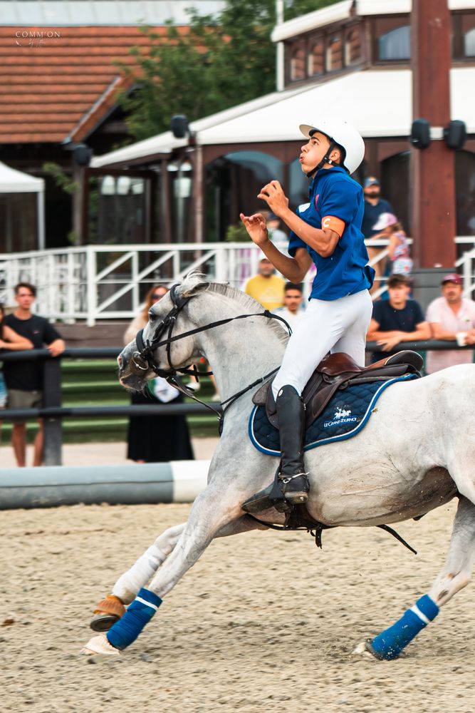 Horse Ball