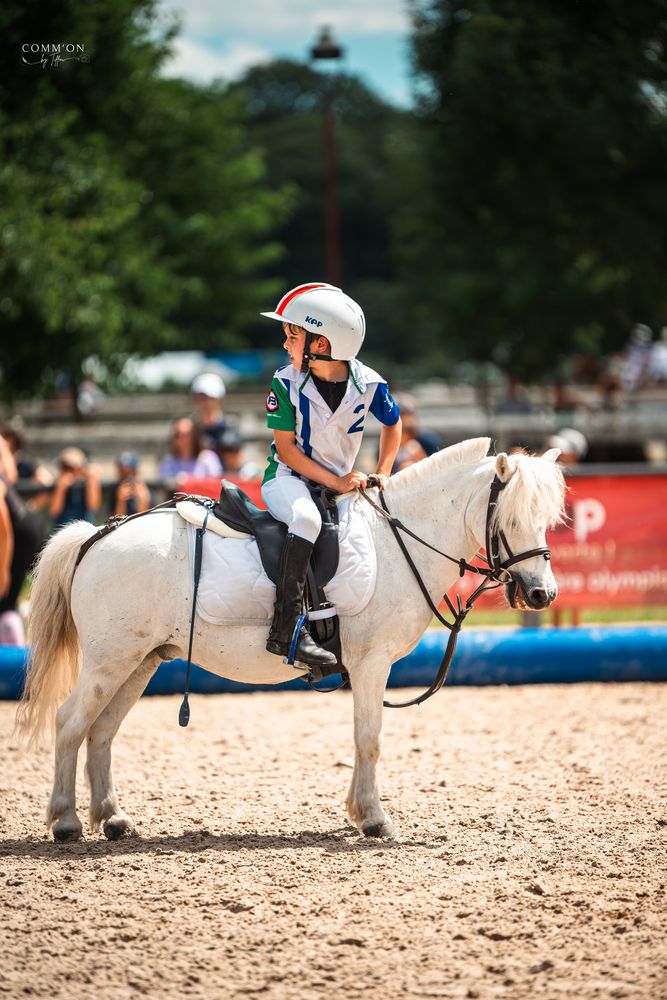 Horse Ball