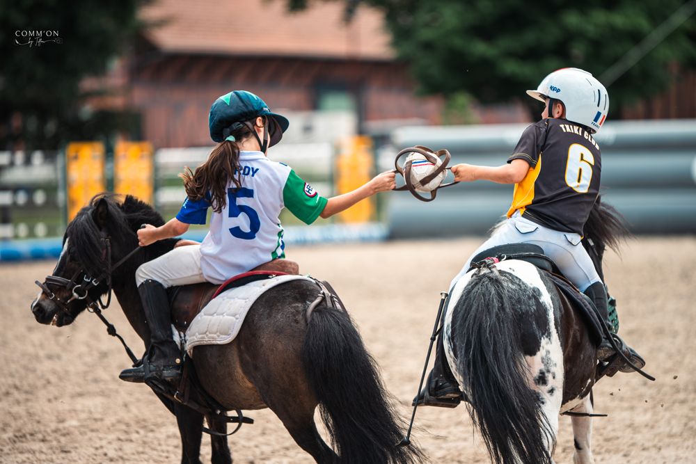 Horse Ball