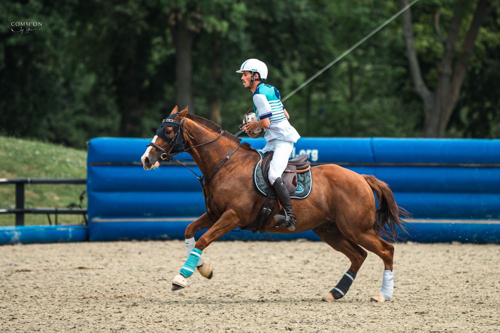 Horse Ball