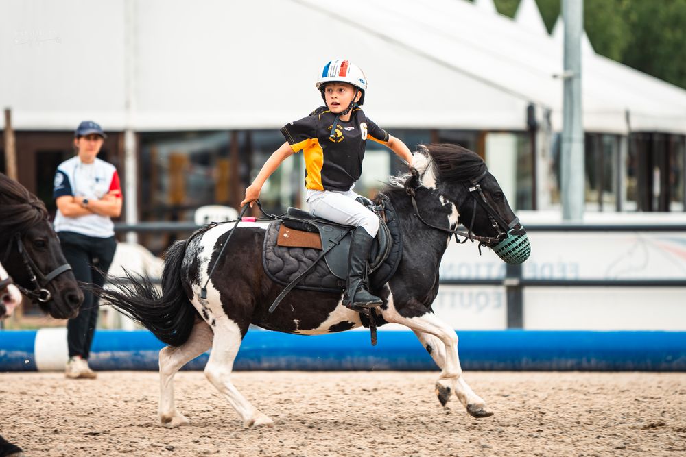 Horse Ball