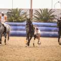 Copyright : Tiffou Photographie / Image n° 20453