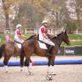 Copyright : Tiffou Photographie / Image n° 20454