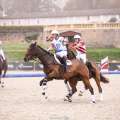 Copyright : Tiffou Photographie / Image n° 20457
