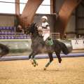Copyright : Tiffou Photographie / Image n° 20467