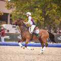 Copyright : Tiffou Photographie / Image n° 20468