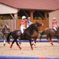 Copyright : Tiffou Photographie / Image n° 20471