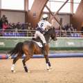 Copyright : Tiffou Photographie / Image n° 20473