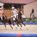 Copyright : Tiffou Photographie / Image n° 20476
