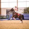 Copyright : Tiffou Photographie / Image n° 20478