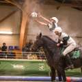 Copyright : Tiffou Photographie / Image n° 20480