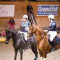 Copyright : Tiffou Photographie / Image n° 20482