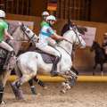 Copyright : Tiffou Photographie / Image n° 20489