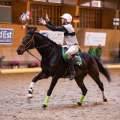 Copyright : Tiffou Photographie / Image n° 20499