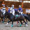 Copyright : Tiffou Photographie / Image n° 20500