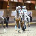 Copyright : Tiffou Photographie / Image n° 20522