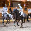 Copyright : Tiffou Photographie / Image n° 20524