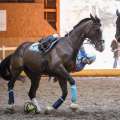 Copyright : Tiffou Photographie / Image n° 20525