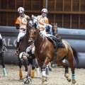 Copyright : Tiffou Photographie / Image n° 20542