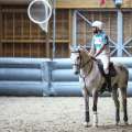 Copyright : Tiffou Photographie / Image n° 20547