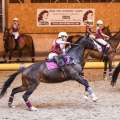Copyright : Tiffou Photographie / Image n° 20555