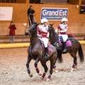 Copyright : Tiffou Photographie / Image n° 20557