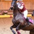 Copyright : Tiffou Photographie / Image n° 20559