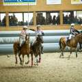 Copyright : Tiffou Photographie / Image n° 20566
