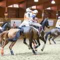 Copyright : Tiffou Photographie / Image n° 20573