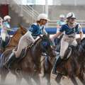 Horse Ball