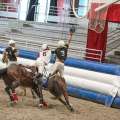 Horse Ball