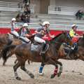 Horse Ball