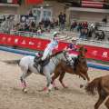 Horse Ball