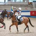 Horse Ball